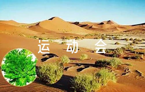 为什么篮球后卫需要特别的体能训练_0
